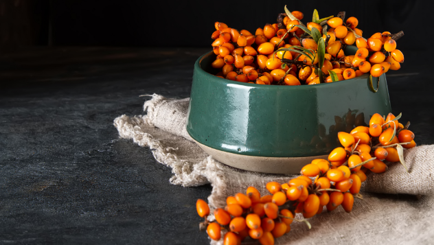 Sea Buckthorn for dogs